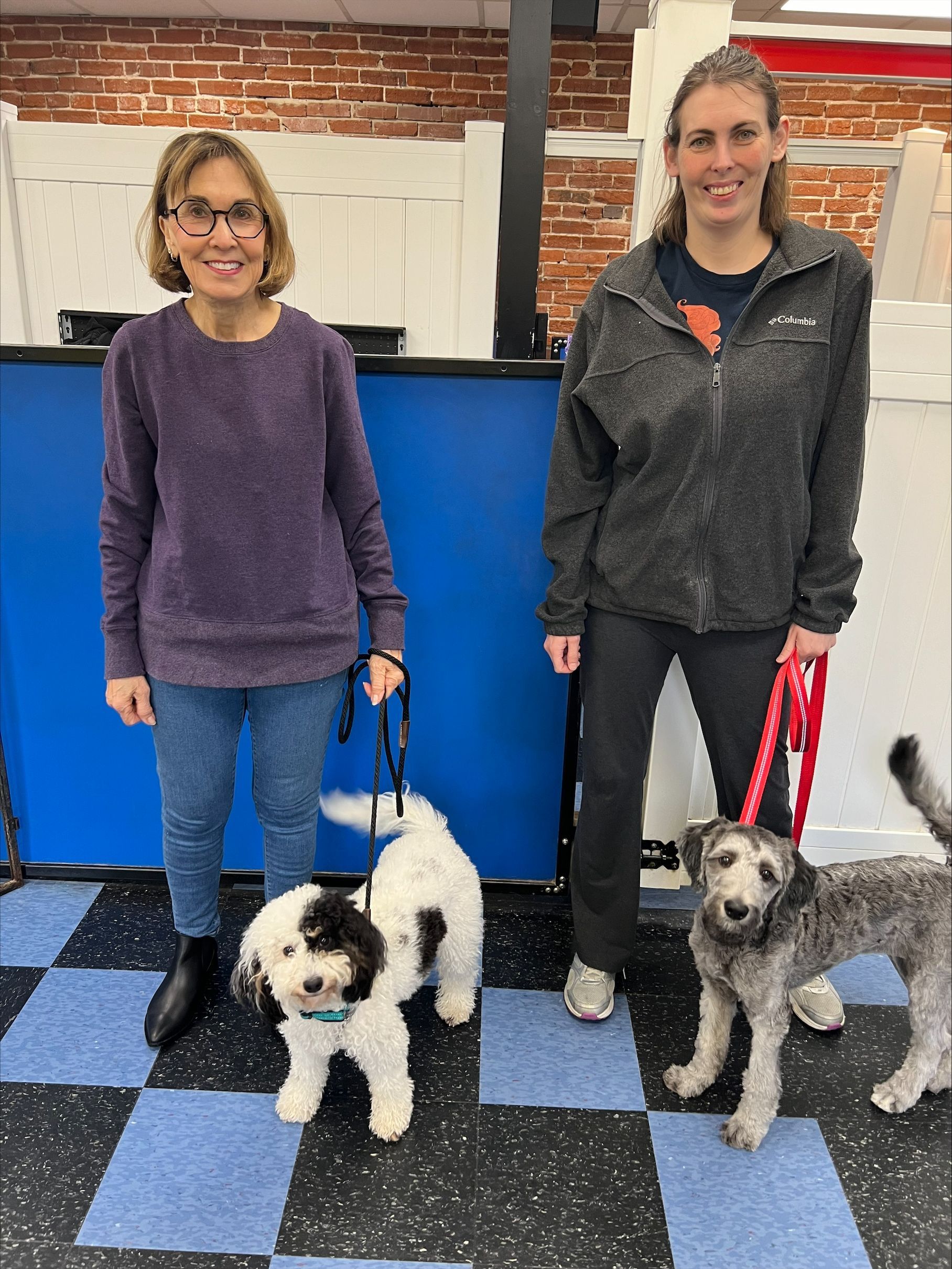 Dog Classmates with their Owner — St. Louis, MO — PetImpact!