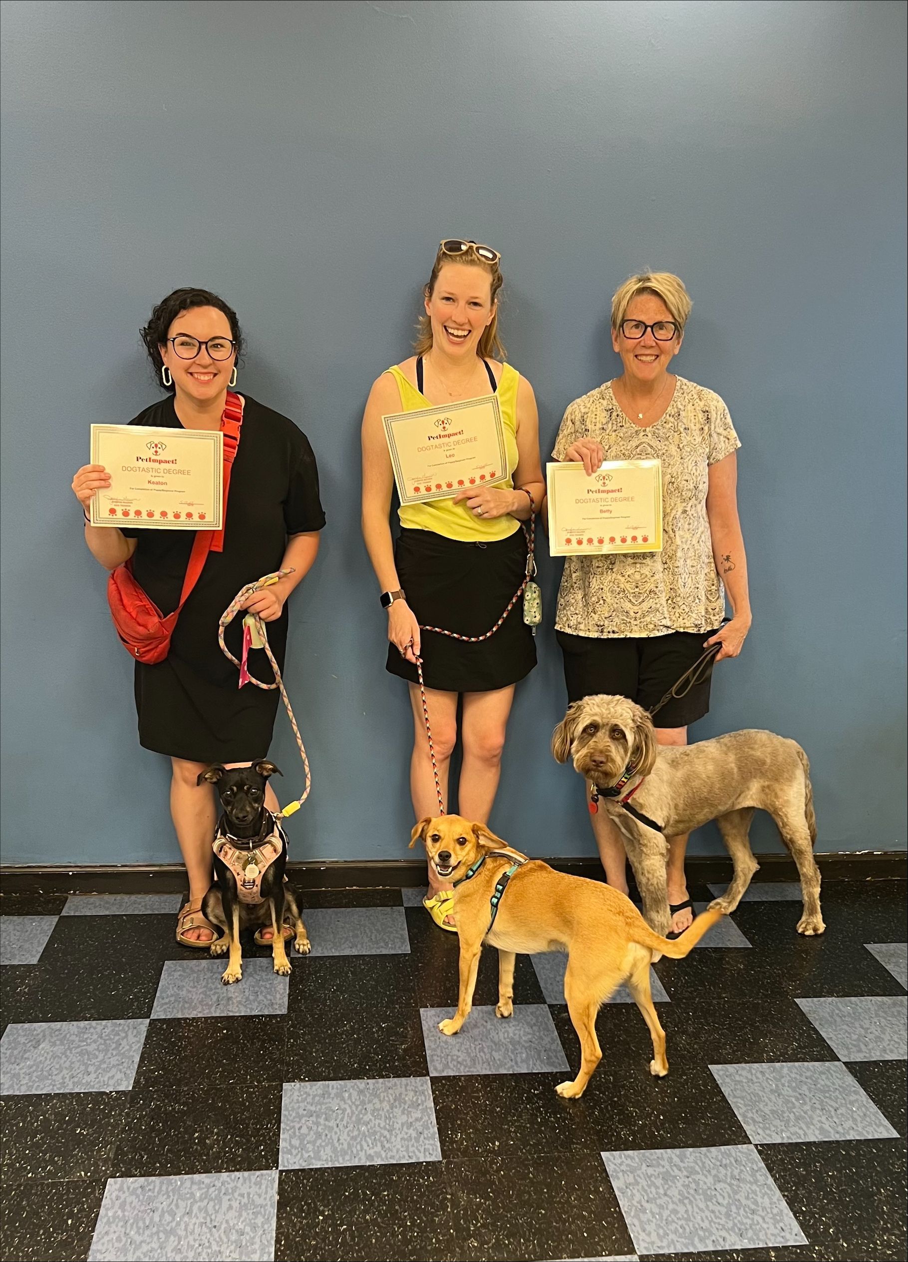 Three people with dogs pose, holding certificates, in front of a blue wall with a checkered floor.
