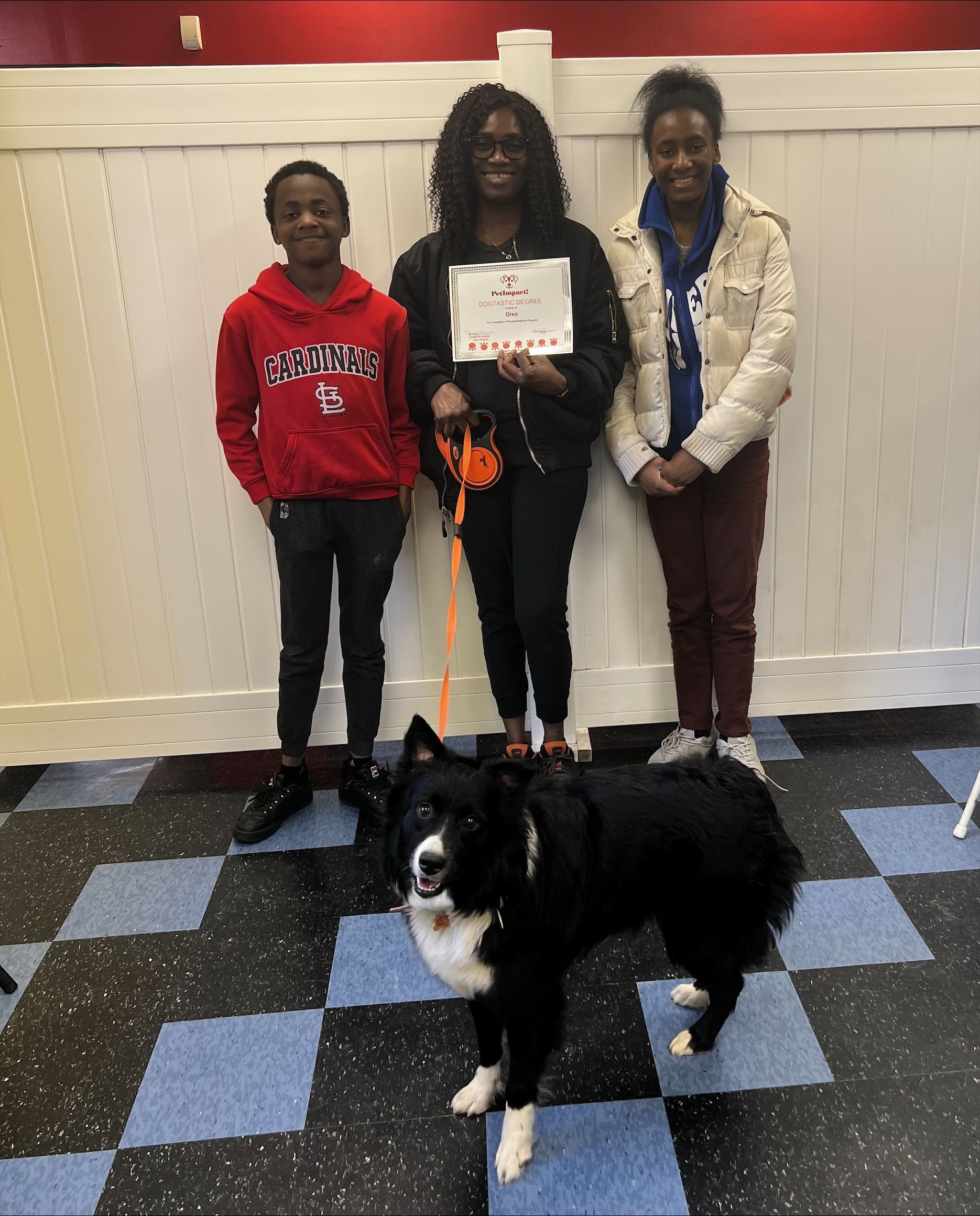 Proud Family — St. Louis, MO — PetImpact!