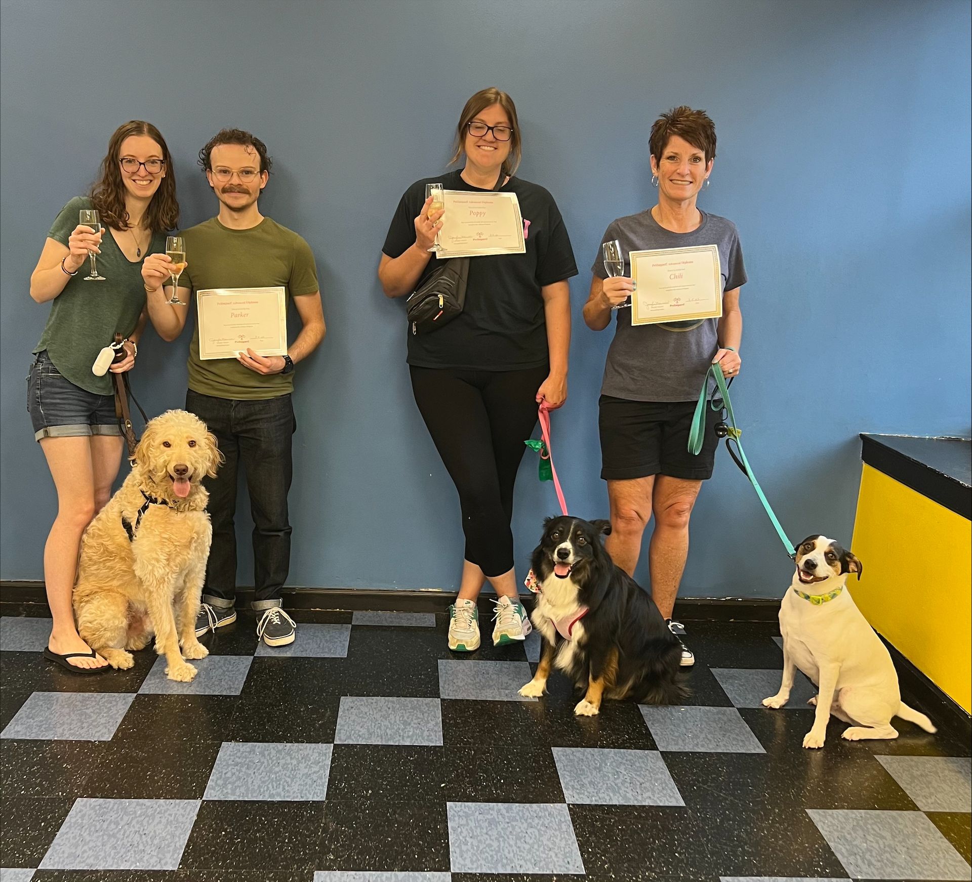 People with dogs holding certificates and champagne in a room with blue walls and checkered floors.