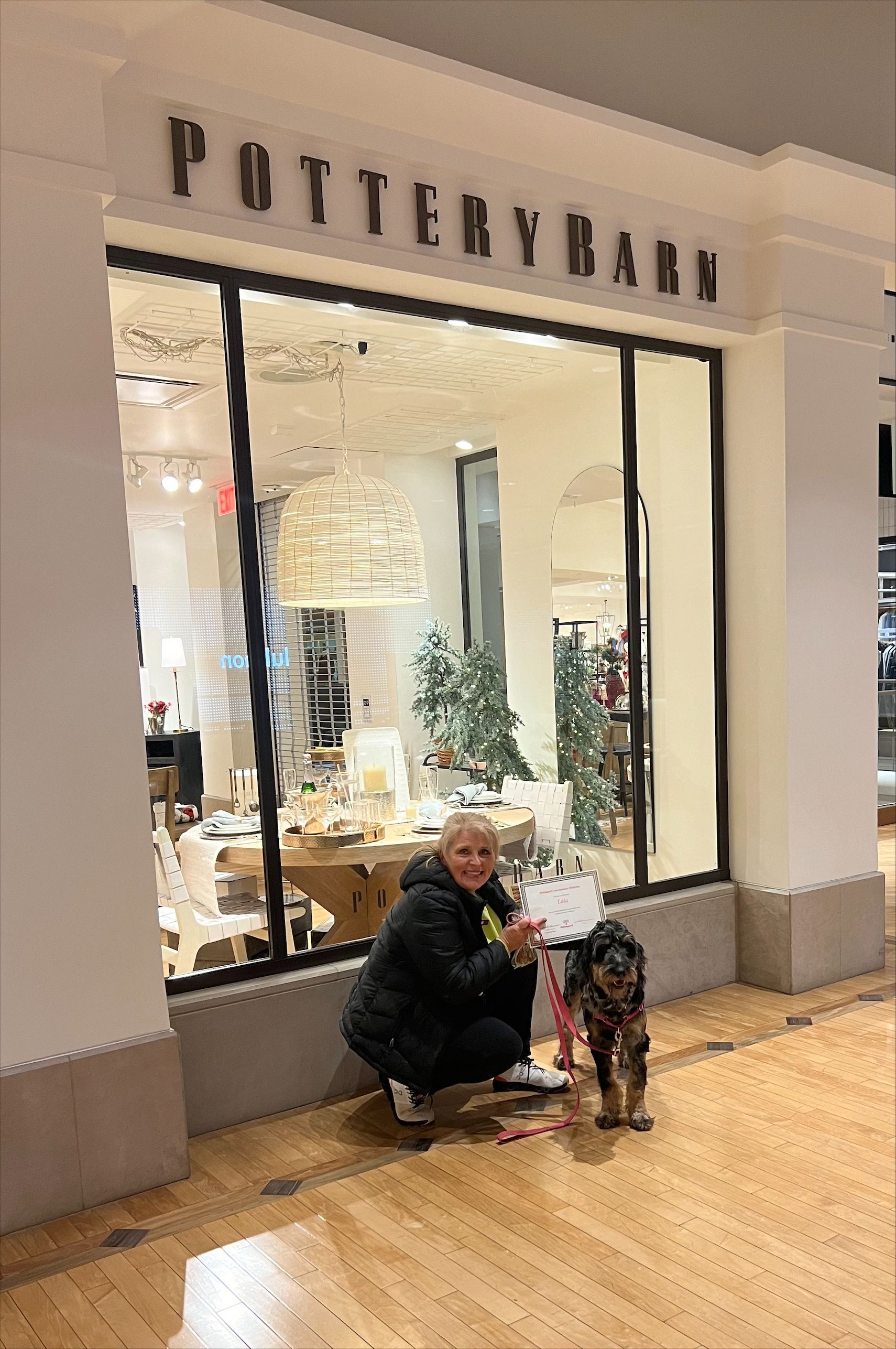 A happy woman with her dog — St. Louis, MO — PetImpact!