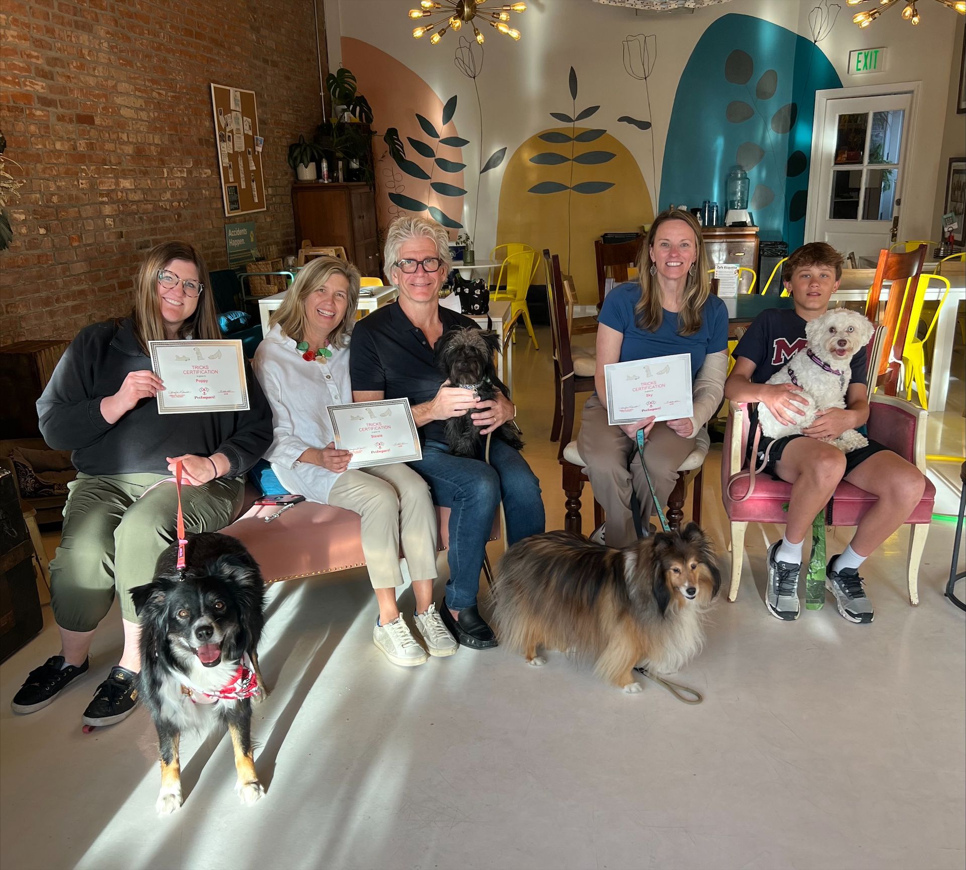 A group of people and their dogs are posing for a picture