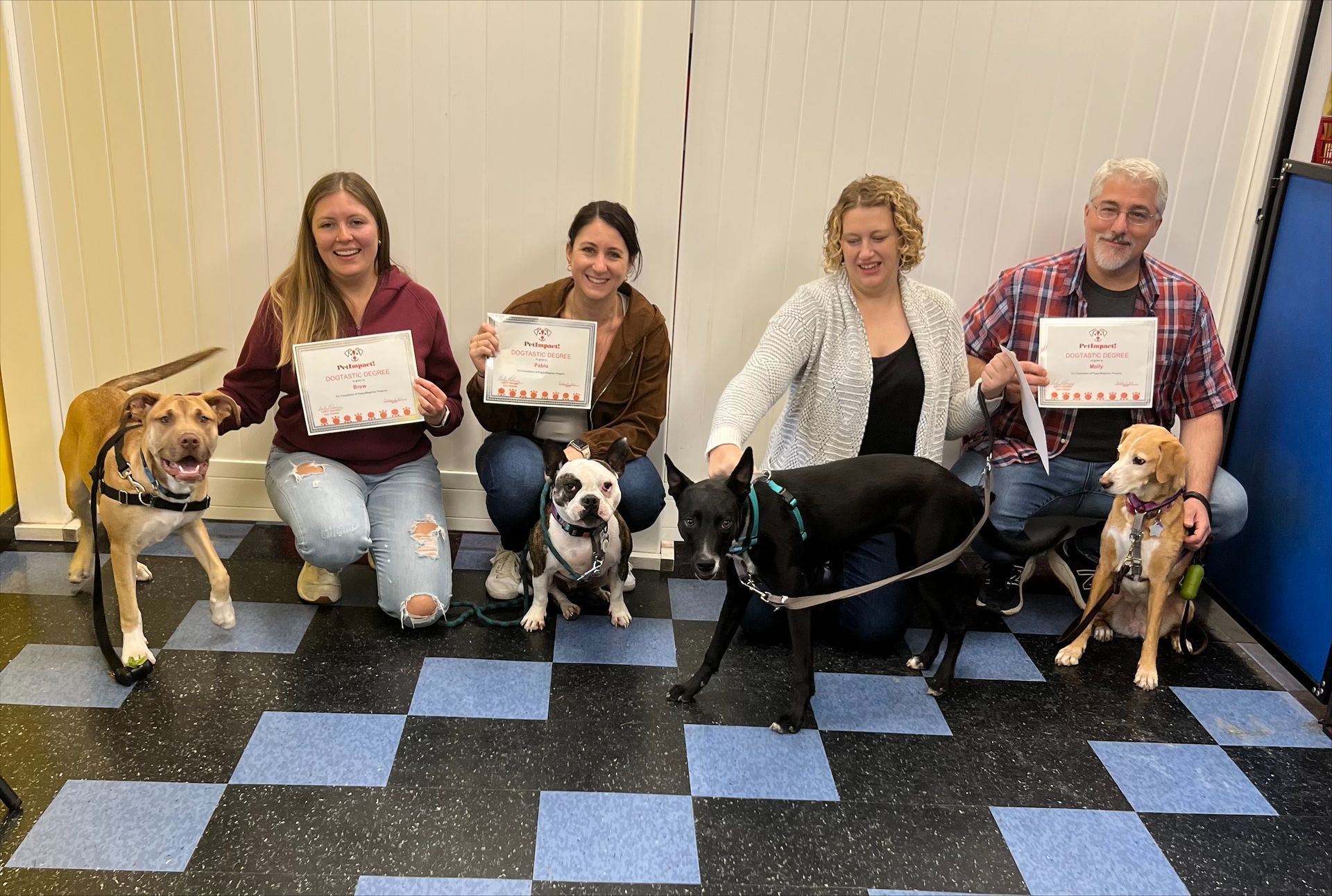 Four grateful fur parents having a group photo with their fur babies — St. Louis, Mo — Petimpact!