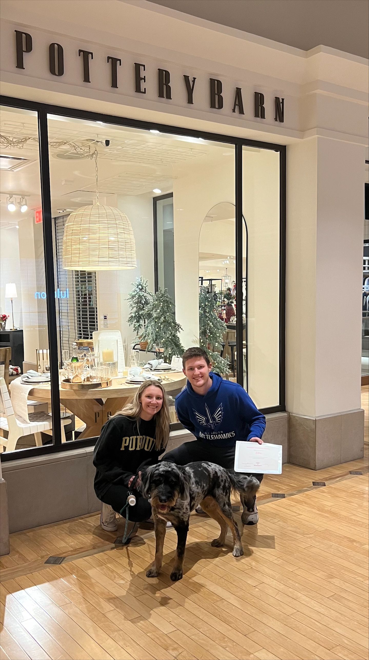 A couple with a dog — St. Louis, MO — PetImpact!
