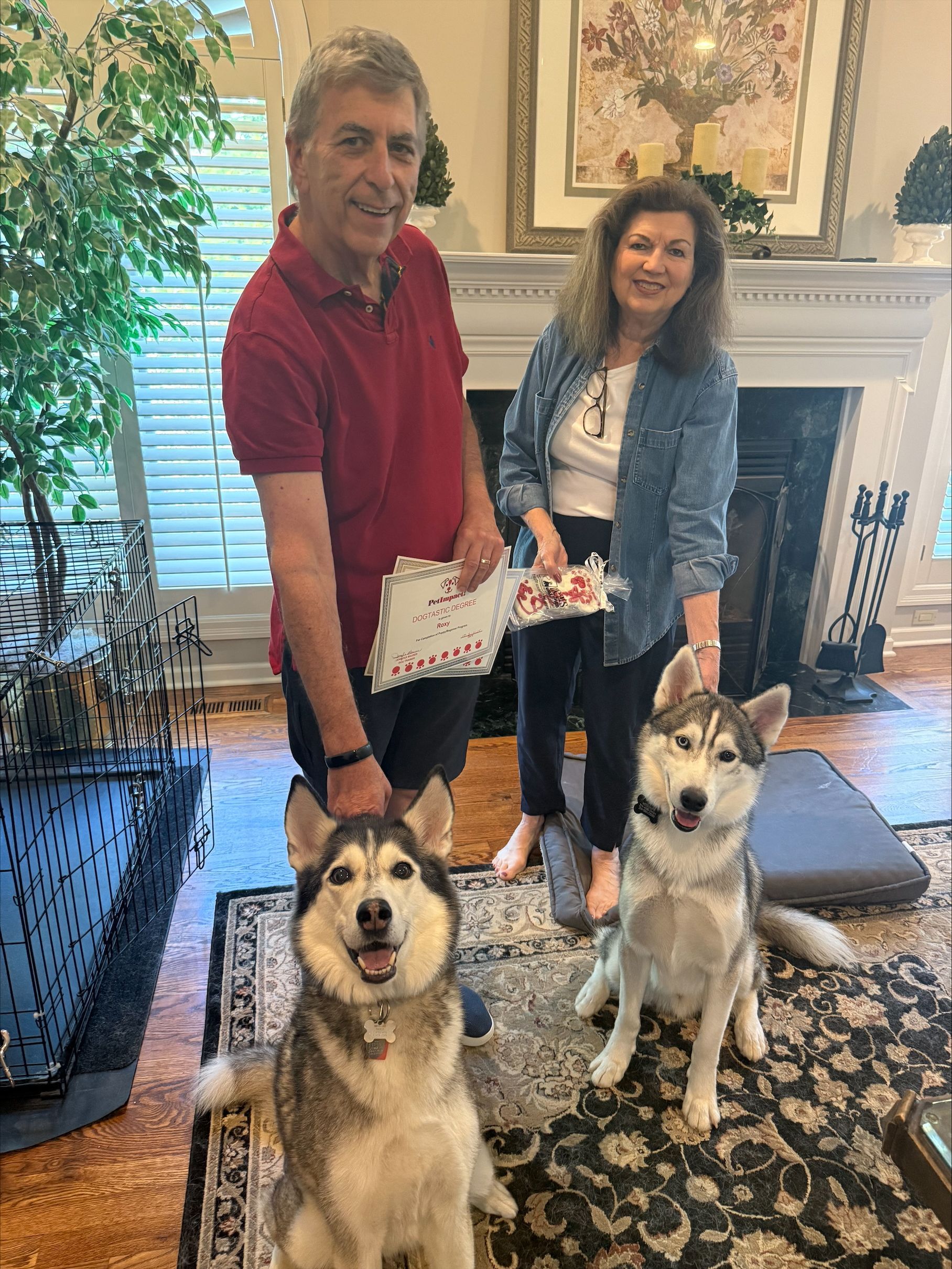 Couple and two huskies smiling in a living room, holding papers, rug on the floor, fireplace in the background.