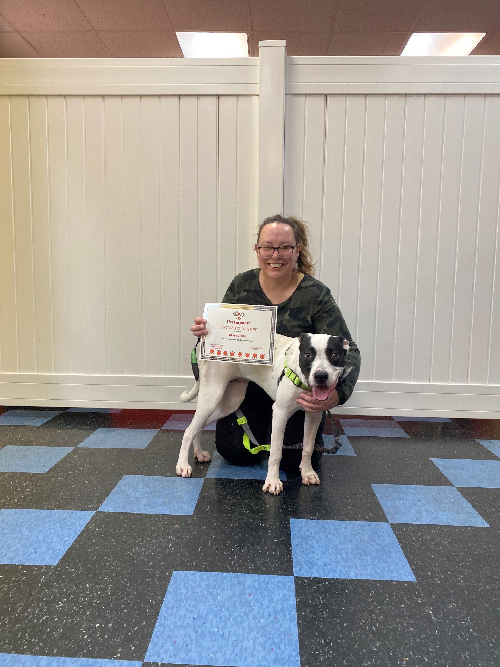 Pet Owner With Her Dog  — St. Louis, MO — PetImpact!