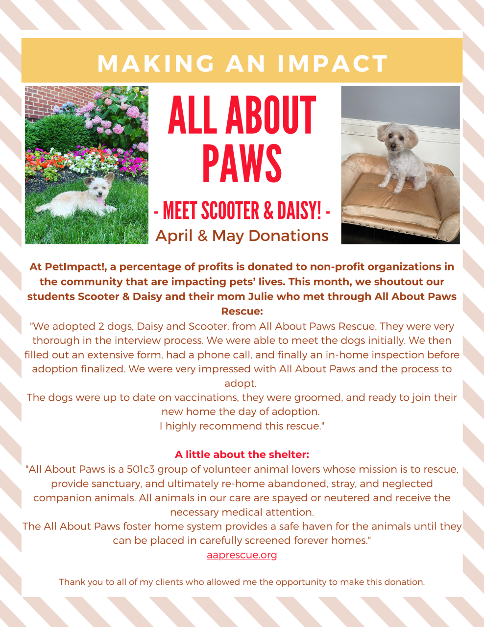 All About Paws Newspaper — St. Louis, MO — PetImpact! Dog Training
