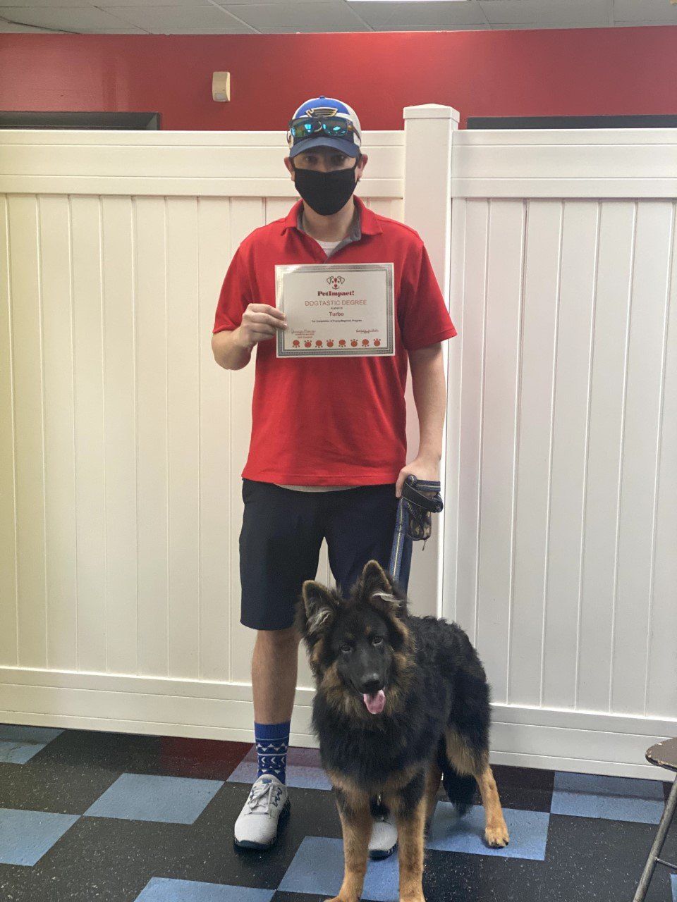 Dog Turbo With Its Man Owner Holding Certificate — St. Louis, MO — PetImpact!