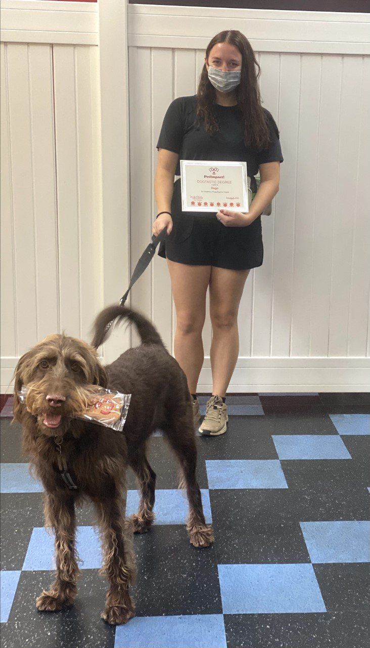 Dog Huge With Its Lady Owner Holding Certificate — St. Louis, MO — PetImpact!