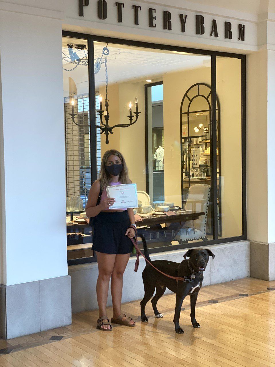 Dog OB With Its Lady Owner Holding Certificate — St. Louis, MO — PetImpact!
