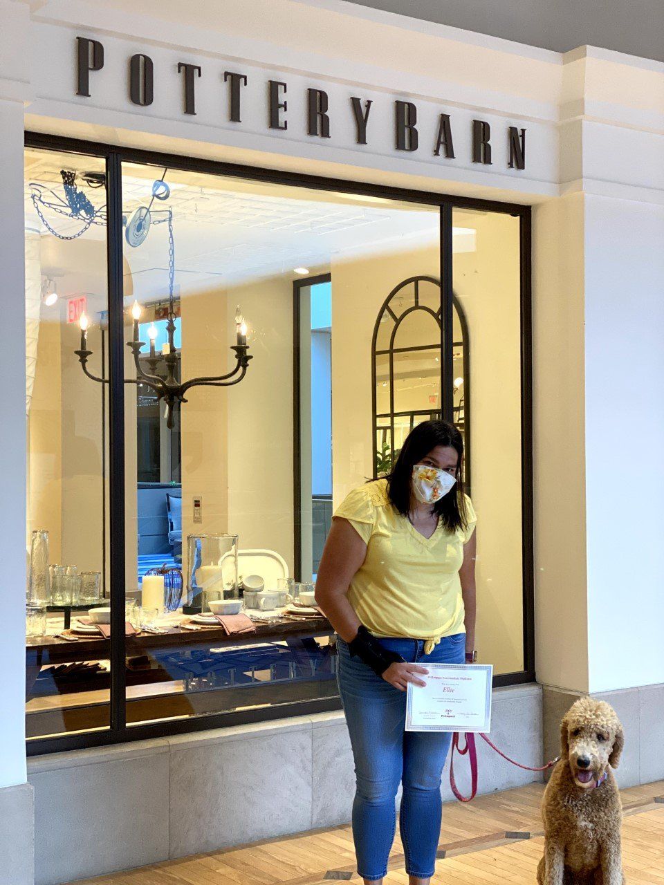 Dog Ellie With Its Lady Owner Holding Certificate — St. Louis, MO — PetImpact!