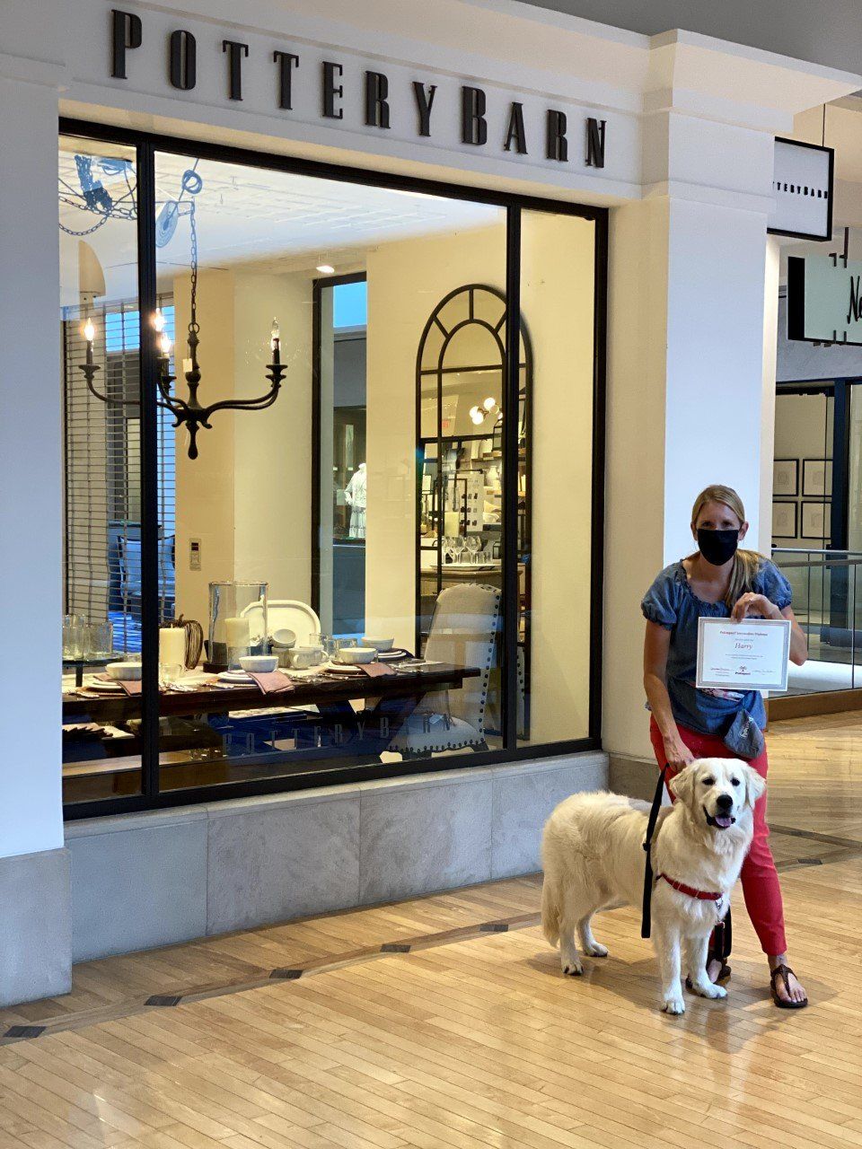 Dog Harry With Its Lady Owner Holding Certificate — St. Louis, MO — PetImpact!