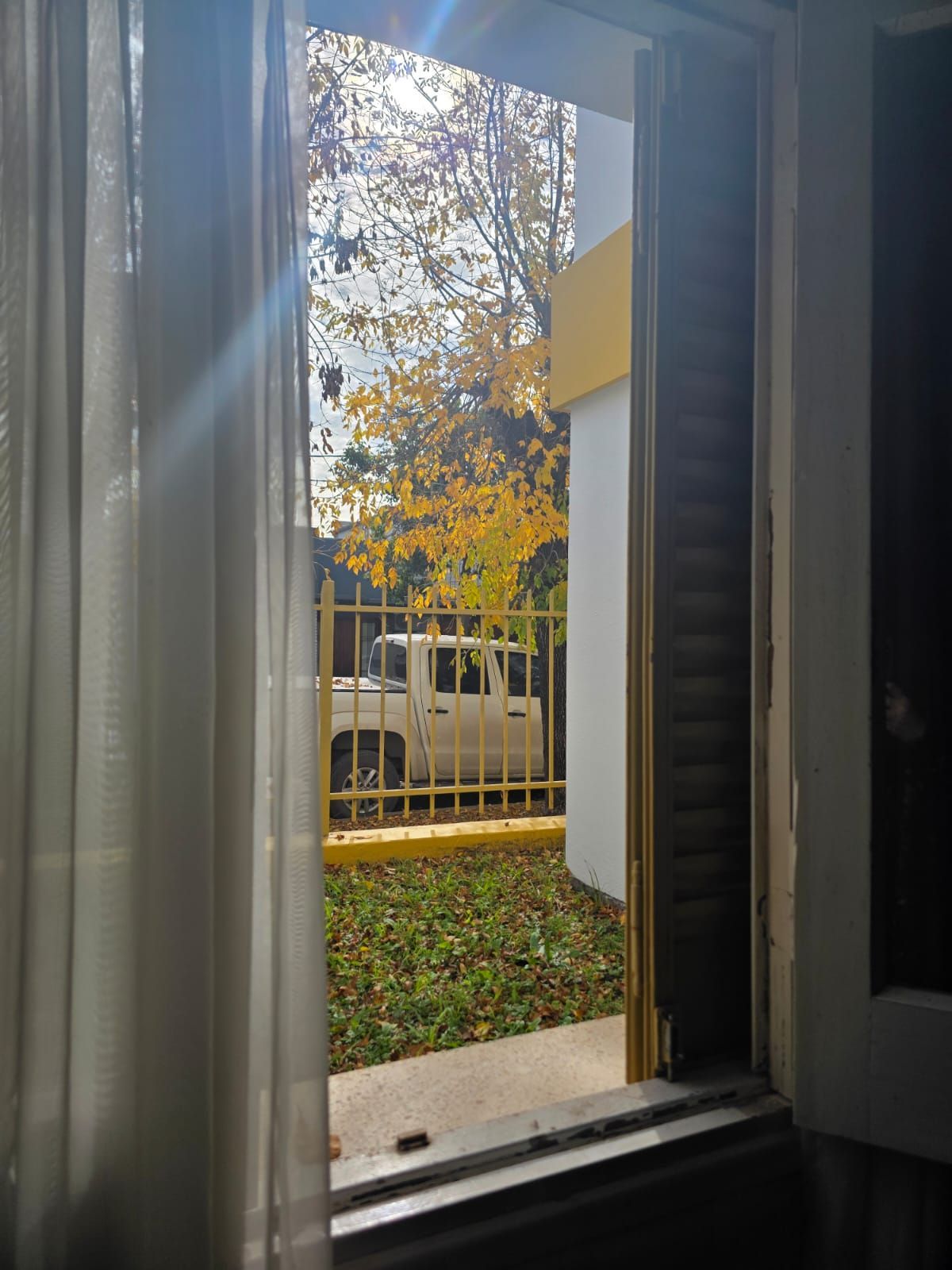 Vista a través de una puerta abierta hacia un patio soleado con un árbol