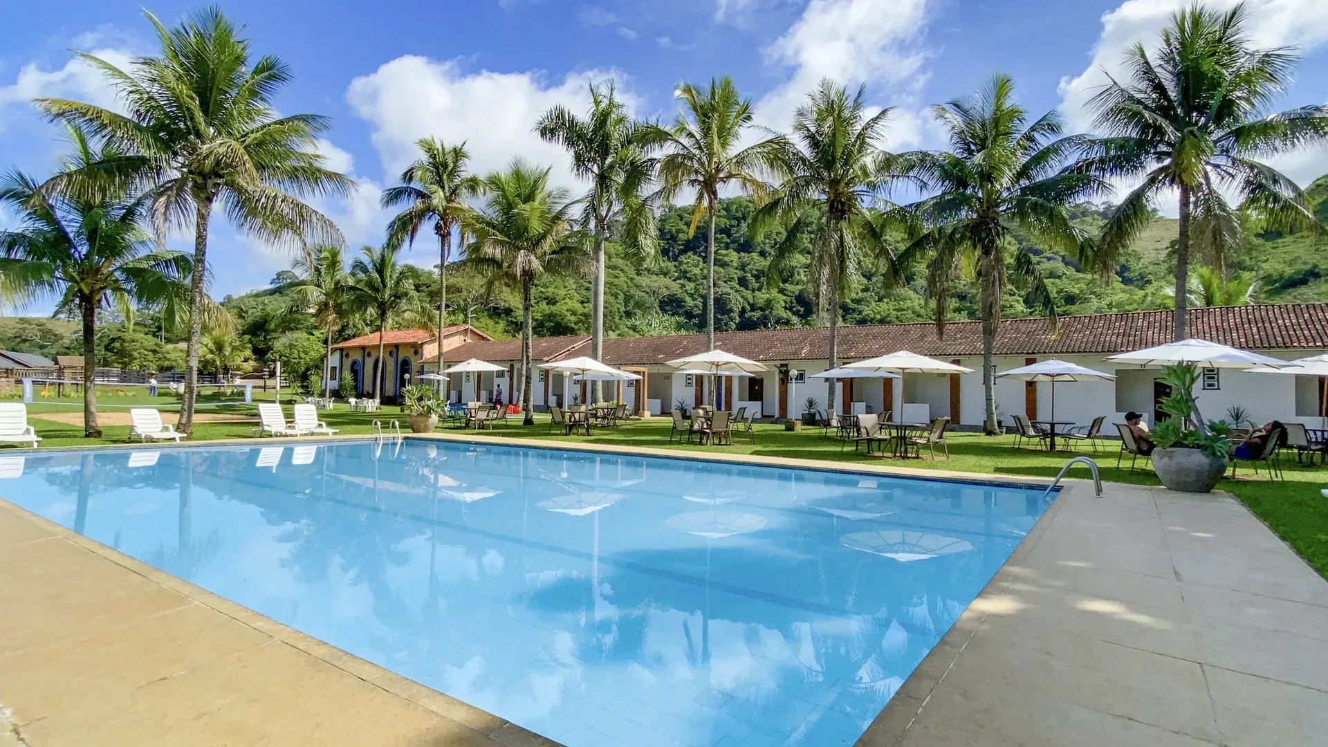 Uma grande piscina cercada por palmeiras e guarda-sóis