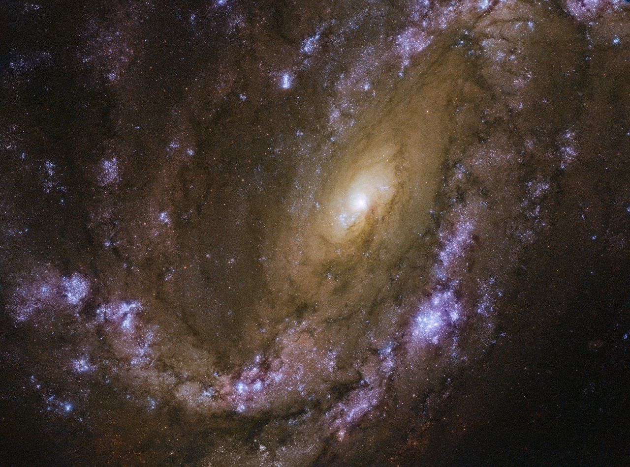 Spiral galaxy with bright center, golden and brown core, surrounded by purple and dark blue arms.
