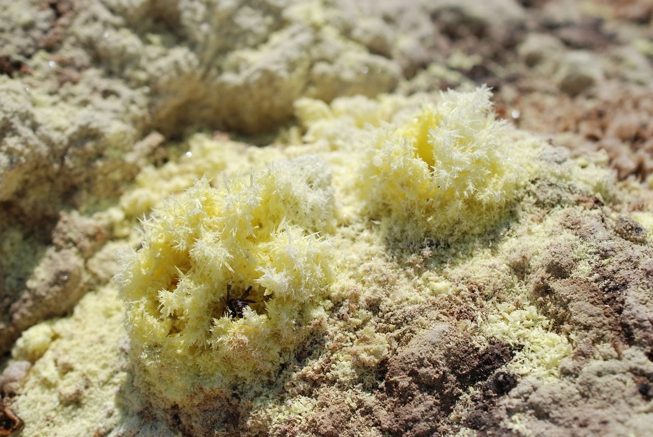 Sulfur crystals