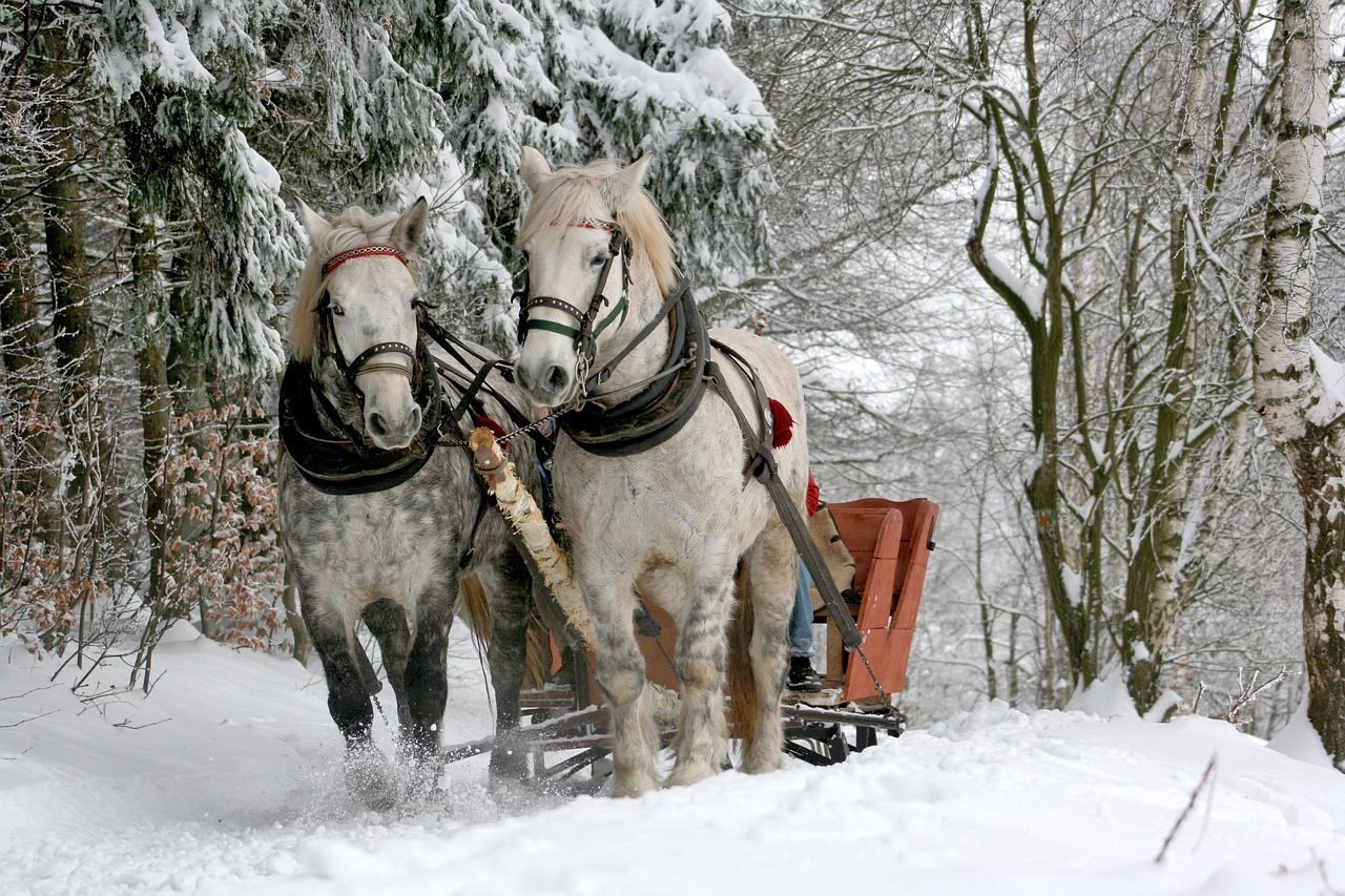 Two horses are pulling a sleigh through the snow.