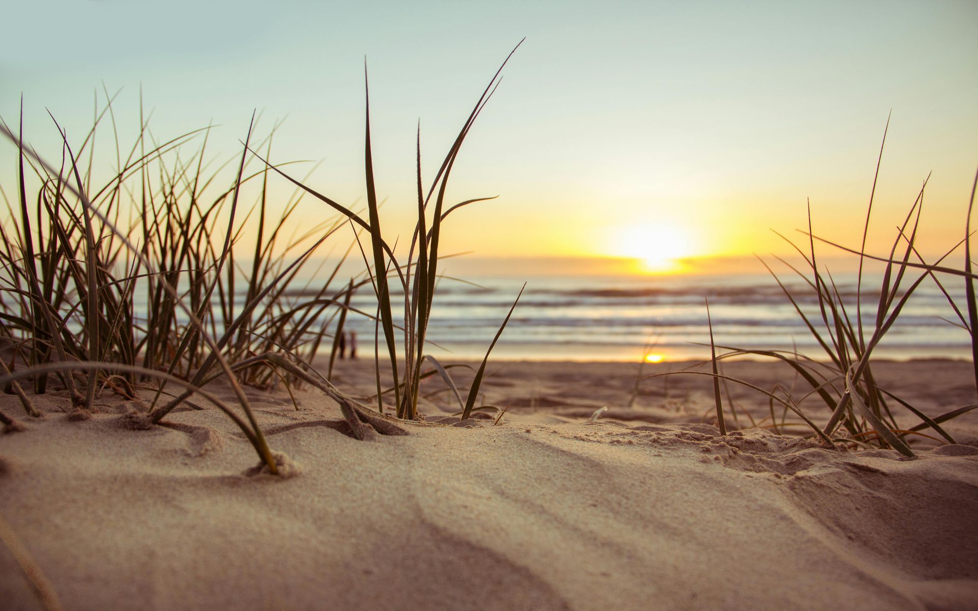 A sunset over a sandy beach with tall grass in the foreground.