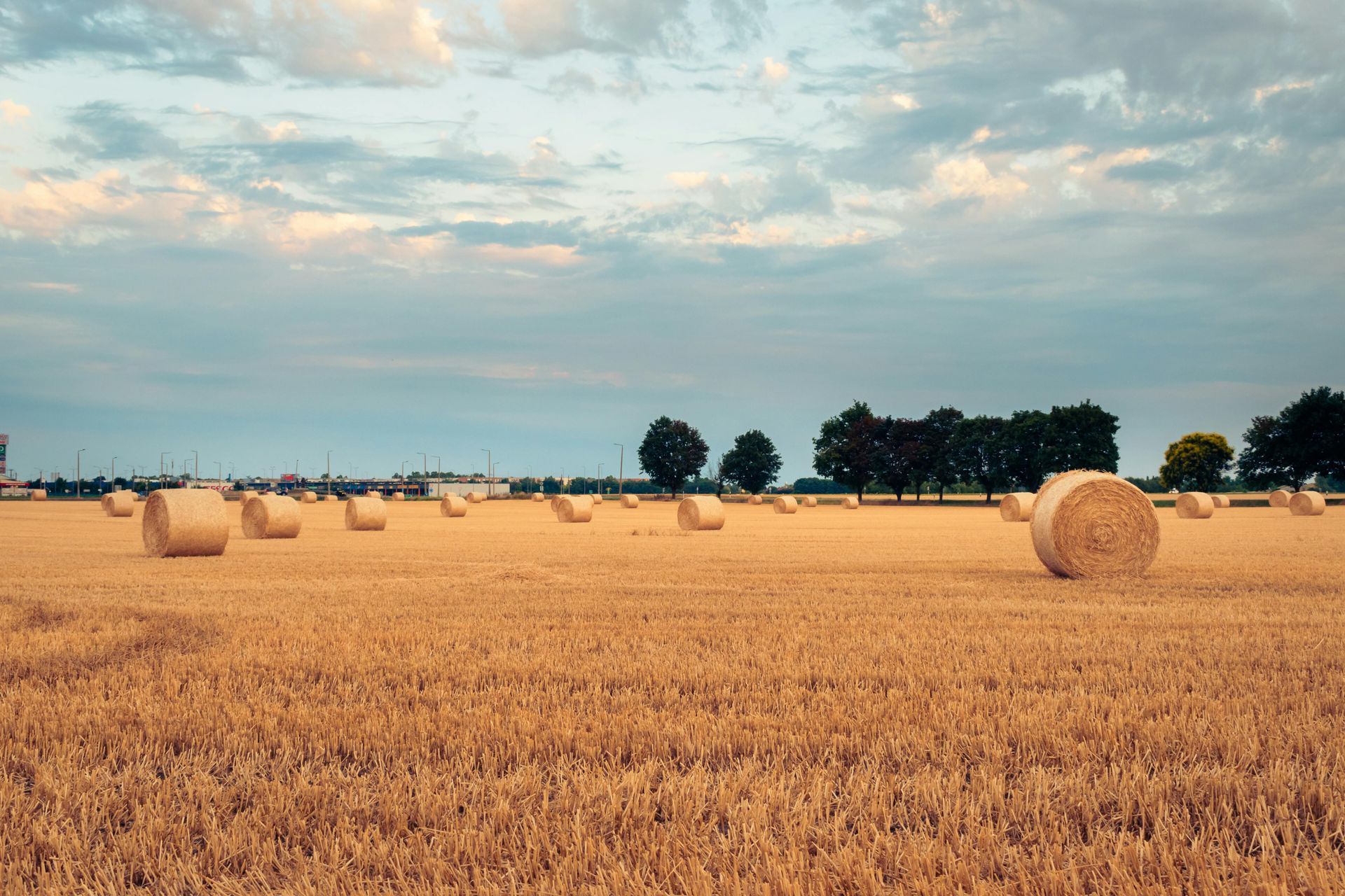 Golden field with hay bales under a cloudy sky, trees in the distance.