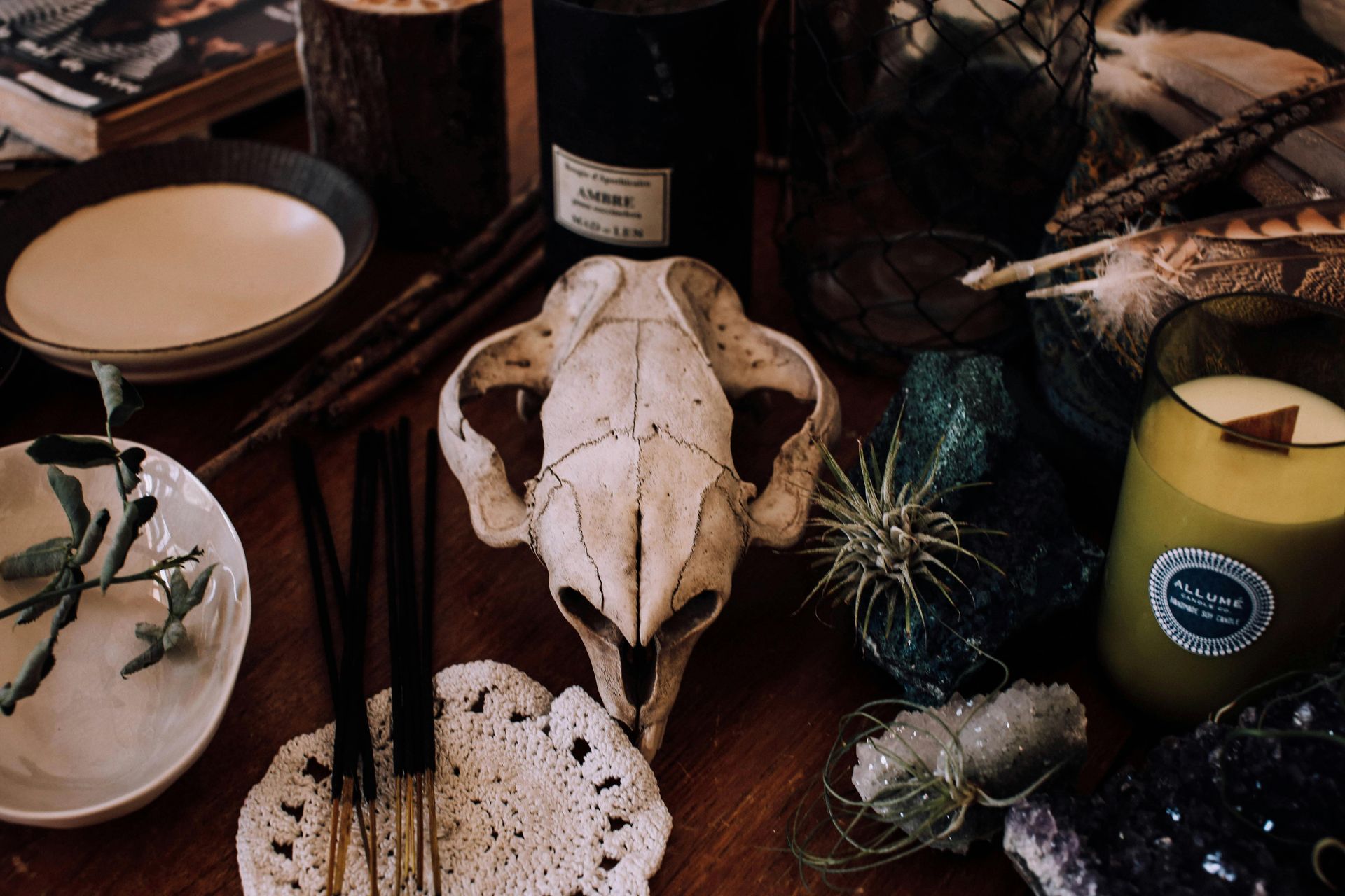 Cat skull surrounded by spiritual items: candles, crystals, feathers, incense, and dishes.