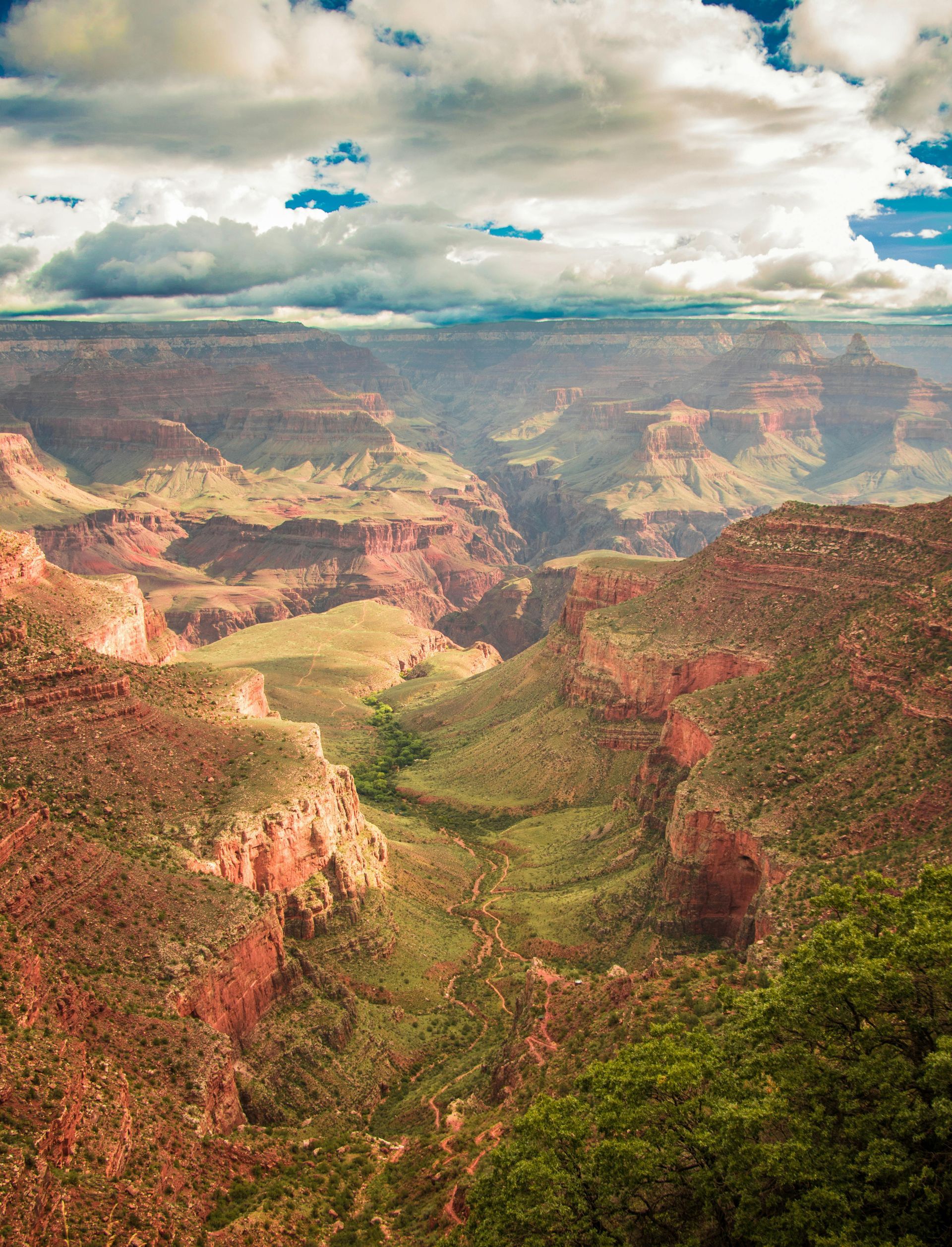A view of the grand canyon from a cliff on a cloudy day.