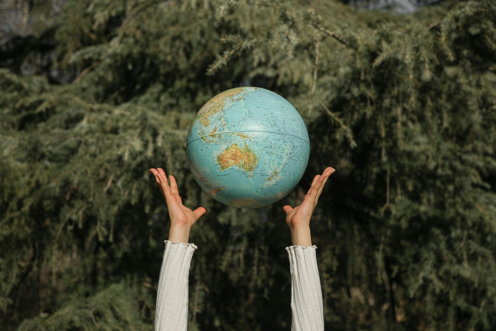A person is holding a globe in their hands in front of trees.