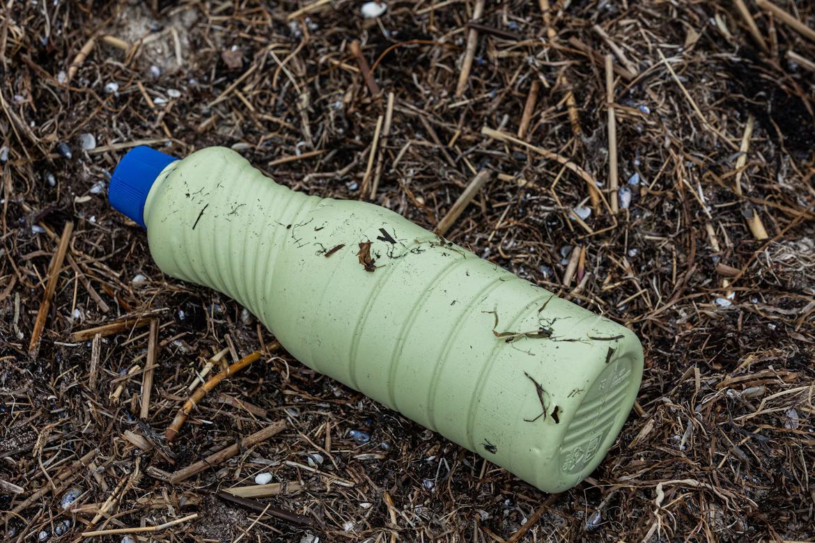 Green plastic bottle with blue cap on a bed of brown seaweed.