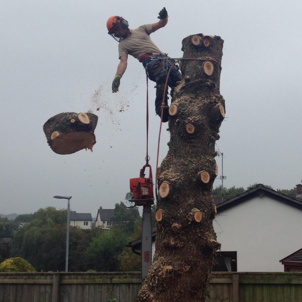 A man is cutting a tree branch with a chainsaw.