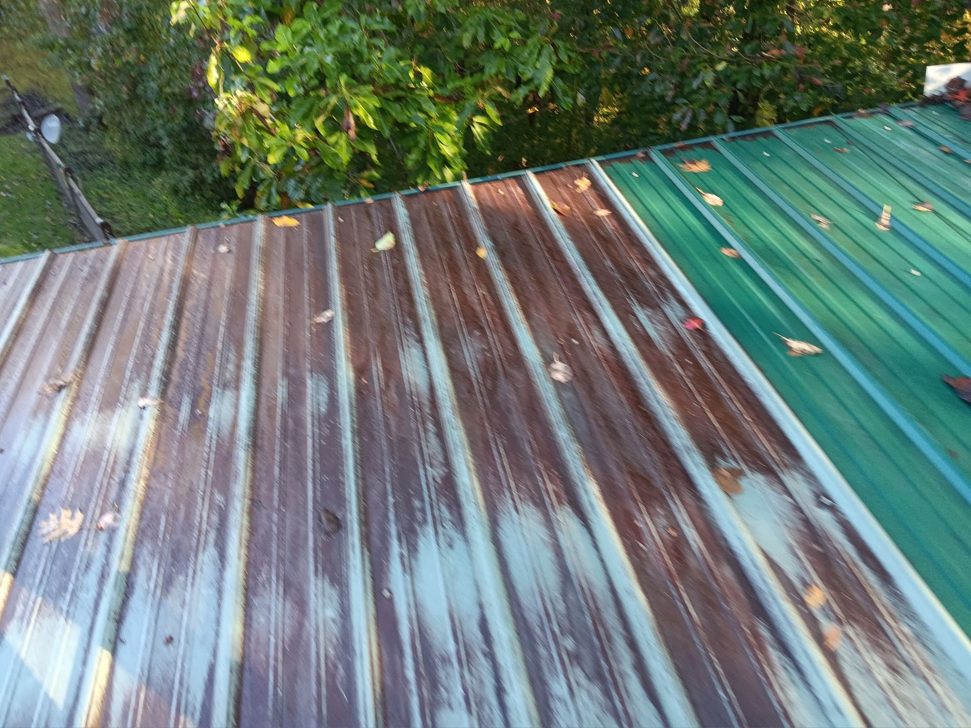 Rusty and green corrugated metal roof seen from above, bordered by trees.