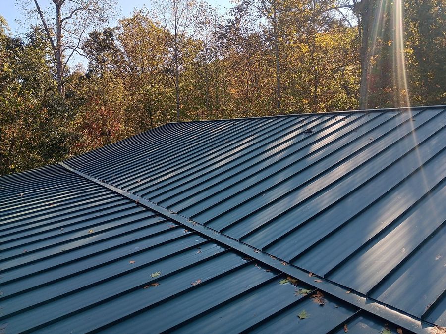 Dark metal roof with standing seams beneath autumn trees in sunlight