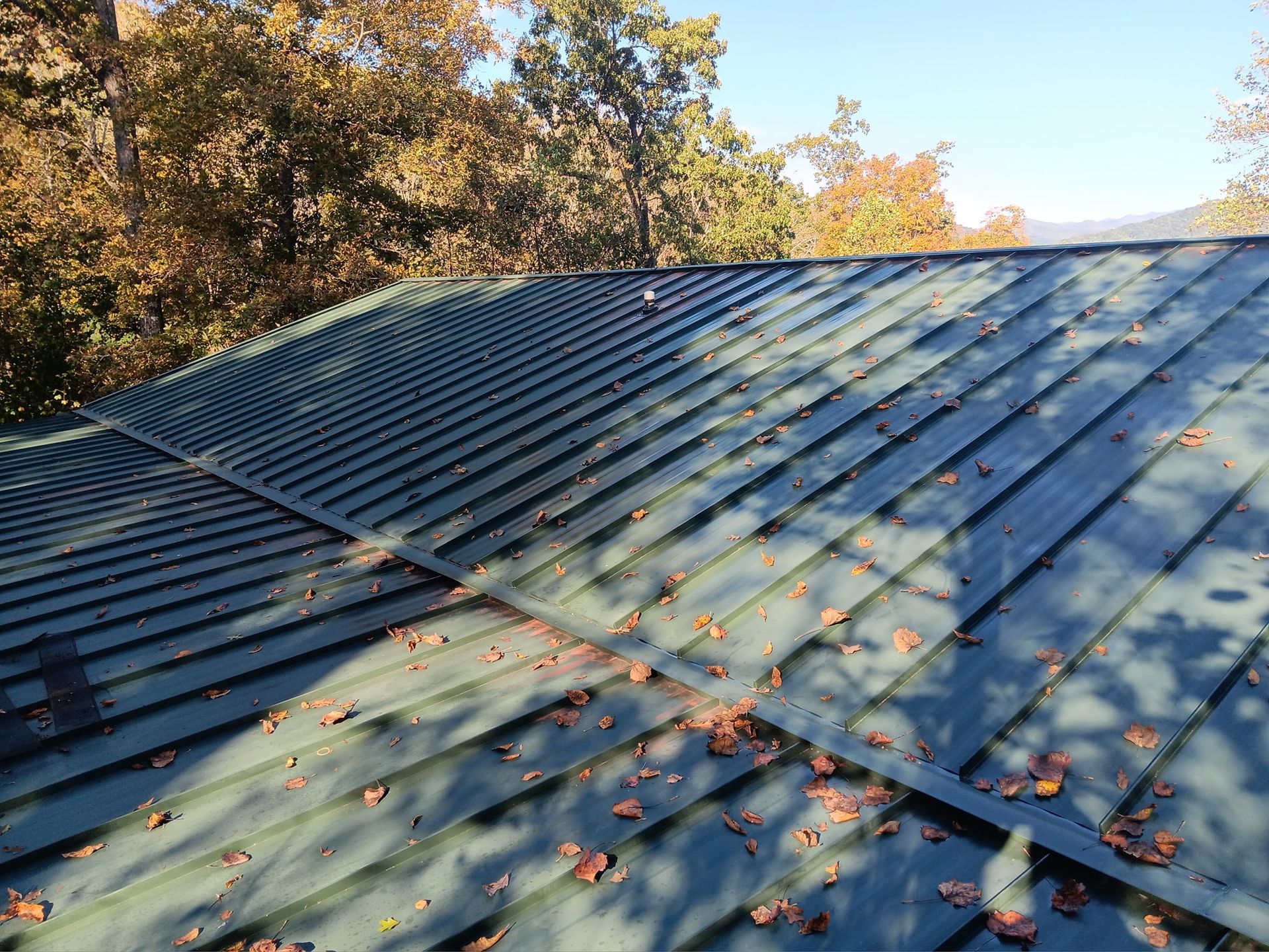 Gray metal roof with scattered leaves beneath autumn trees and blue sky