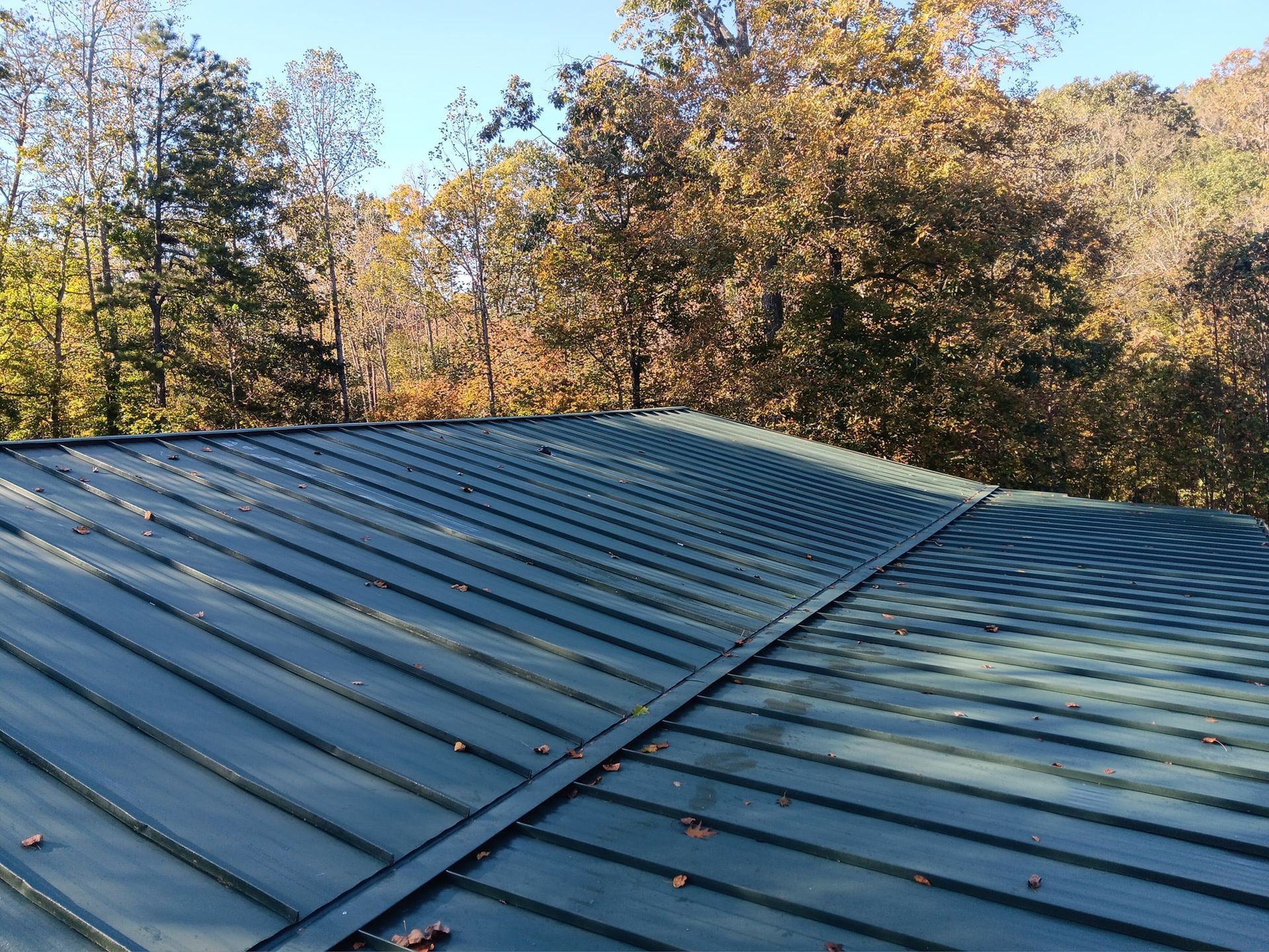 Blue metal roof with autumn trees in the background