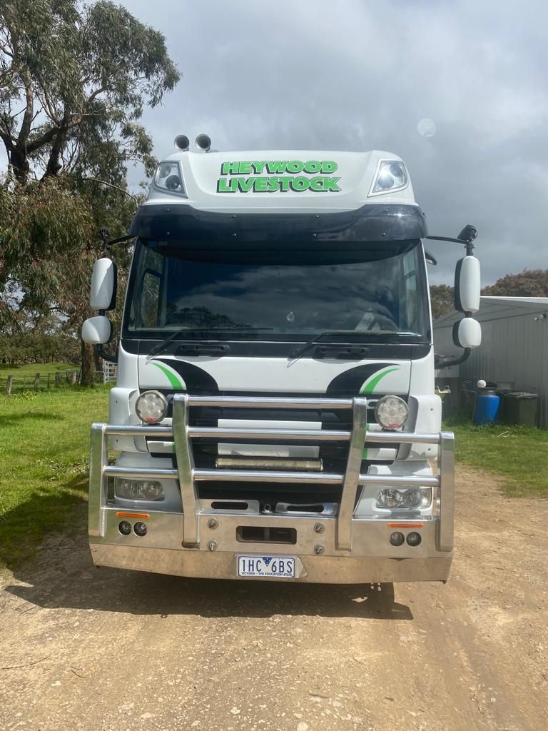 White truck with a silver bull bar, logo 