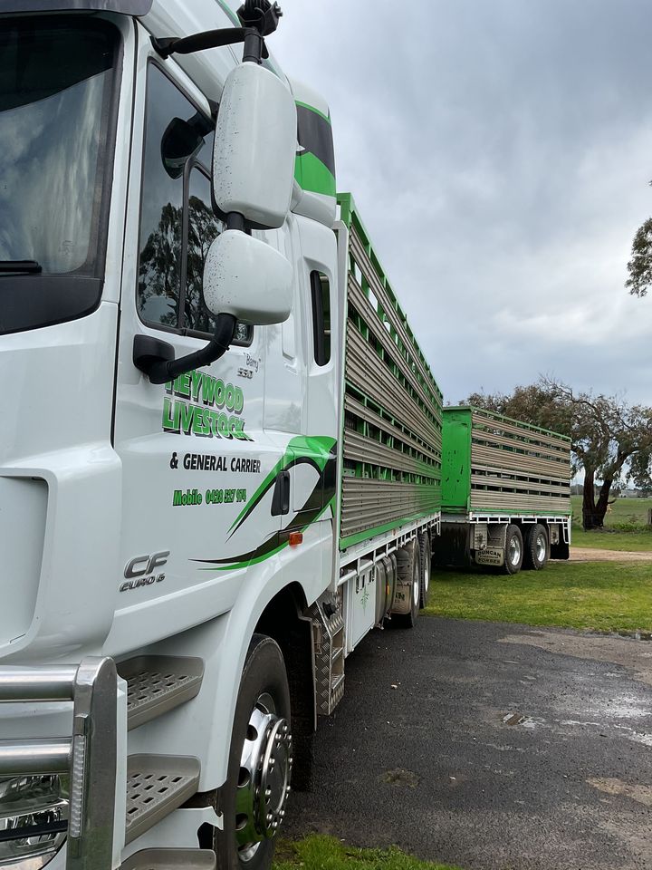 Truck loaded with rectangular hay bales in a field, ready for transport.