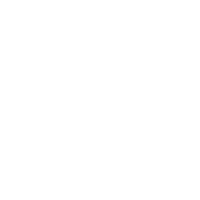 wheelchair icon