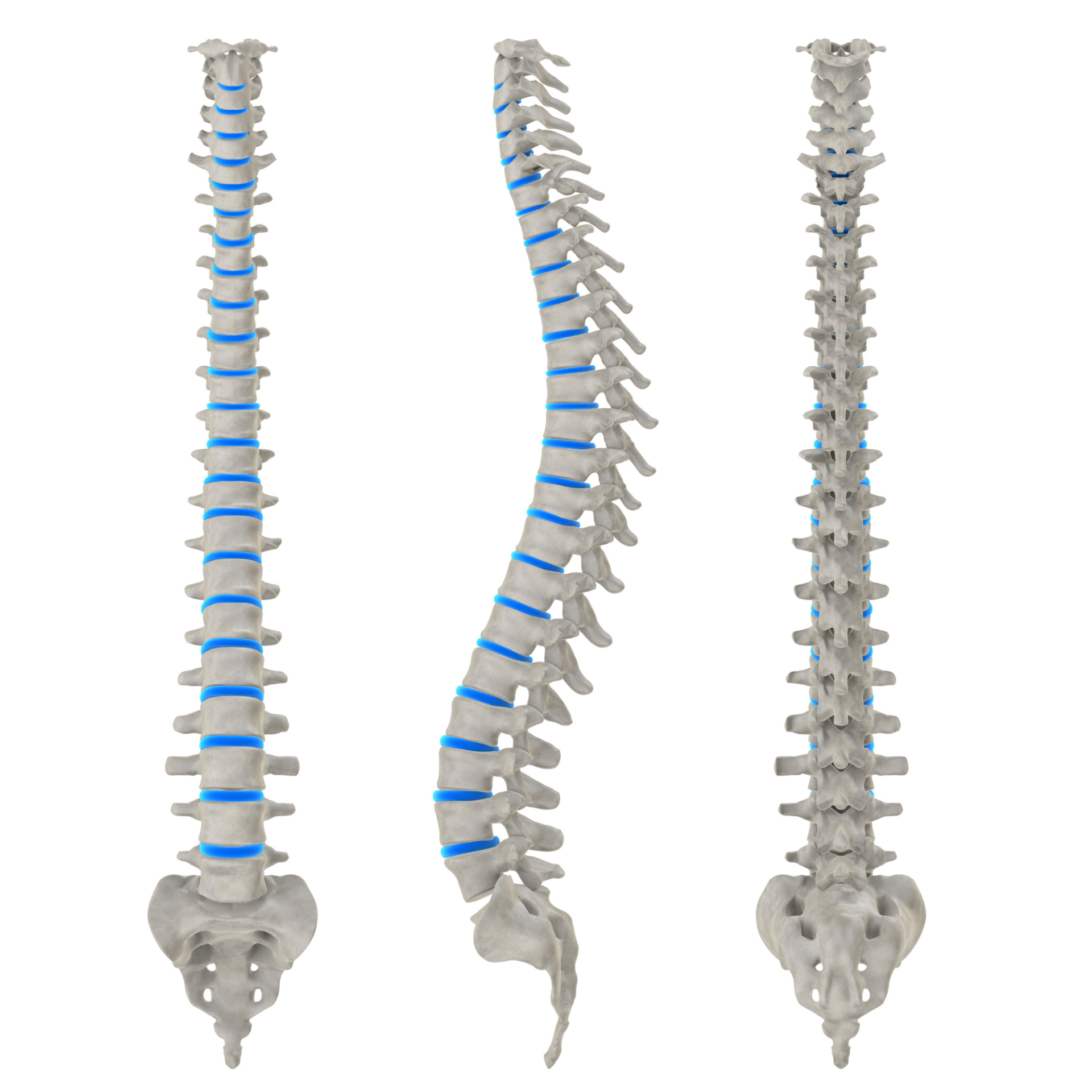 Balanced Life Chiropractic, spine care, what to expect
