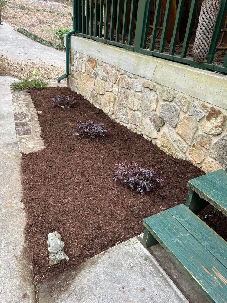 Mulched flower bed with three purple plants next to a stone wall and green railing; green bench on right.