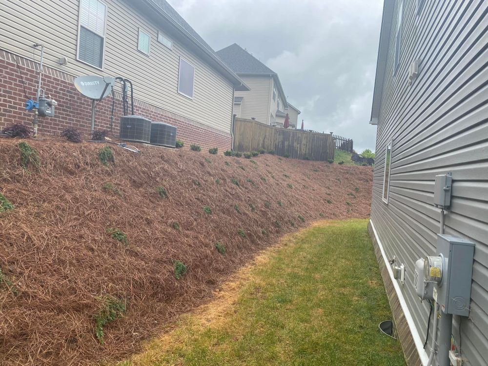 A grassy walkway next to a house with brown mulch on a sloped hill, and a cloudy sky.