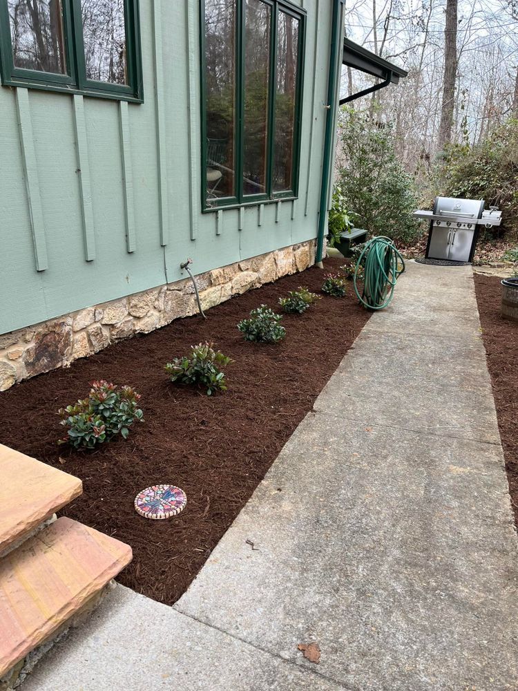 A house with a walkway and flowerbed with plants and mulch, next to a grill.