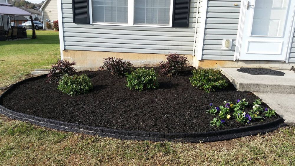 Curved flower bed with dark mulch, green and purple flowers, bordered by a black plastic edge in front of a house.