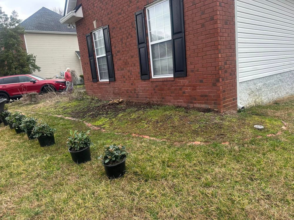 Brick house with black shutters, a row of potted plants, and a red car in the background.