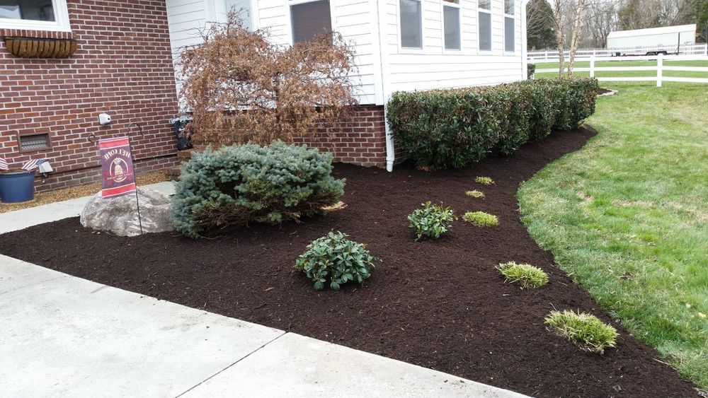 Brown mulch landscaping bed with green bushes, front of a white house.
