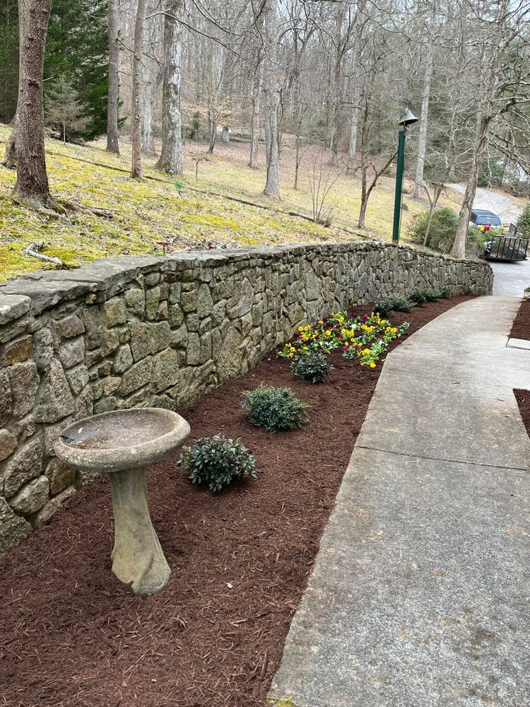 Stone wall with a garden bed featuring shrubs, daffodils, and a birdbath.