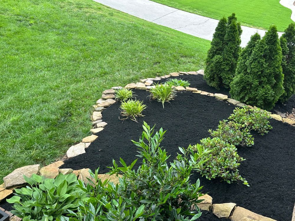 A landscaped garden bed with black mulch, green plants, and small cedar trees bordered by light brown stones.