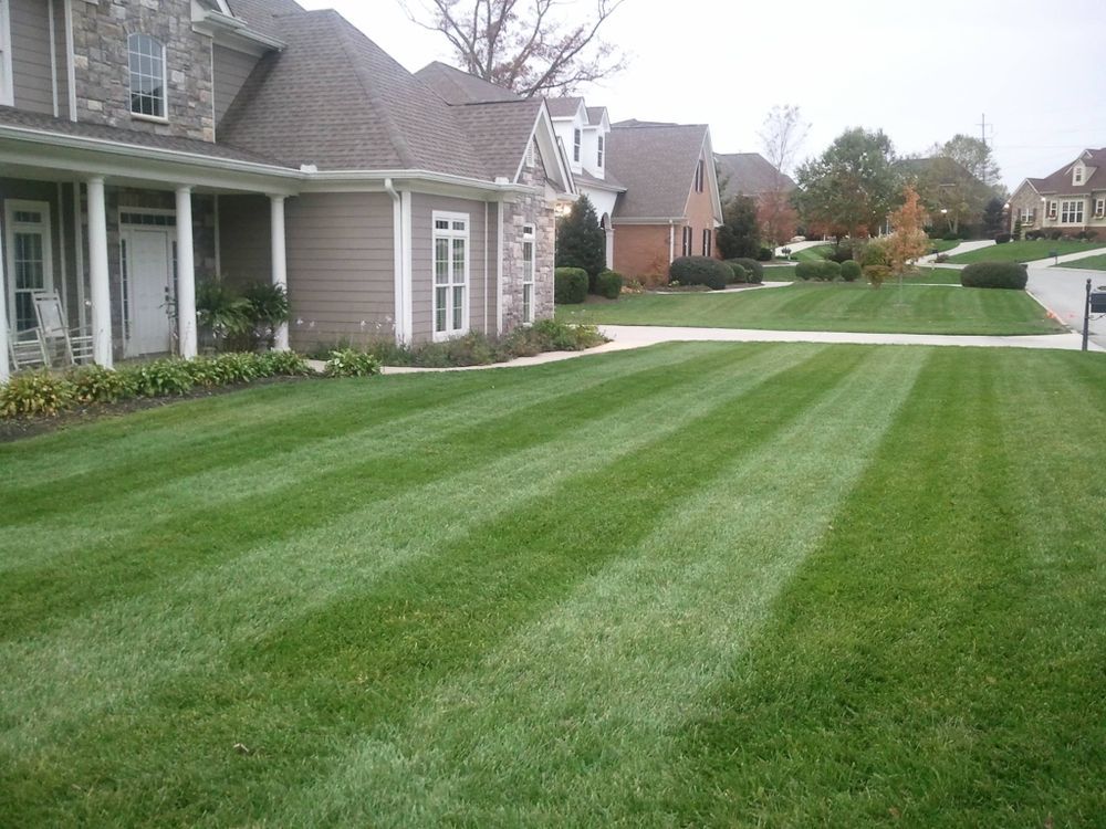 Well-manicured lawn with striped pattern in front of a house. Other houses in the background, sunny day.