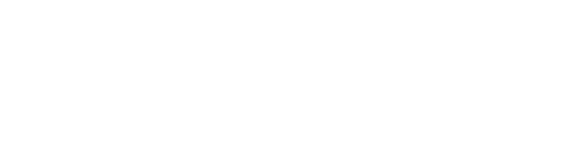 Sociedade Brasileira de Endometriose logomarca