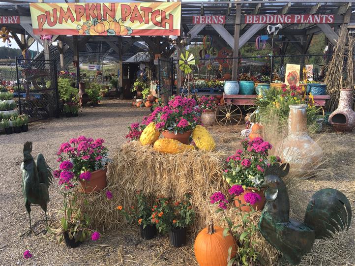 Multiple flower pots with squash and pumpkins on a display