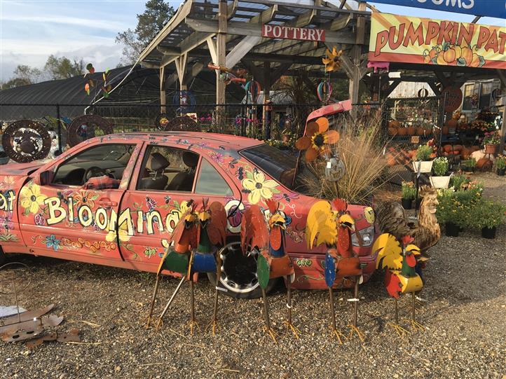 Decorative car with Rooster decorations
