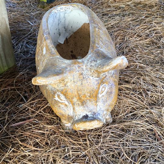 Aged clay flower pot decoration