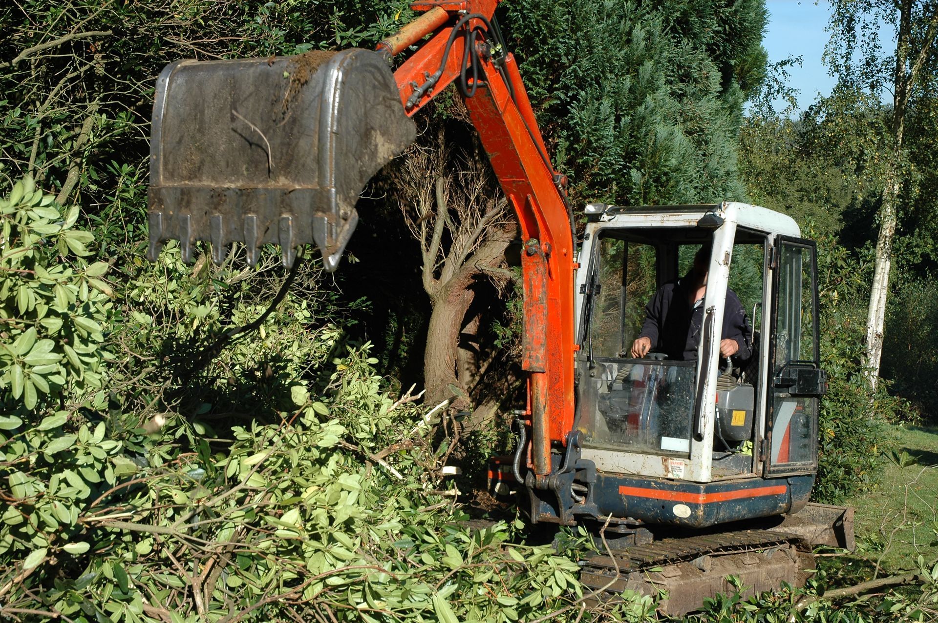 An orange excavator is removing bushes and small trees in a wooded area. A person operates the machine from the cab.